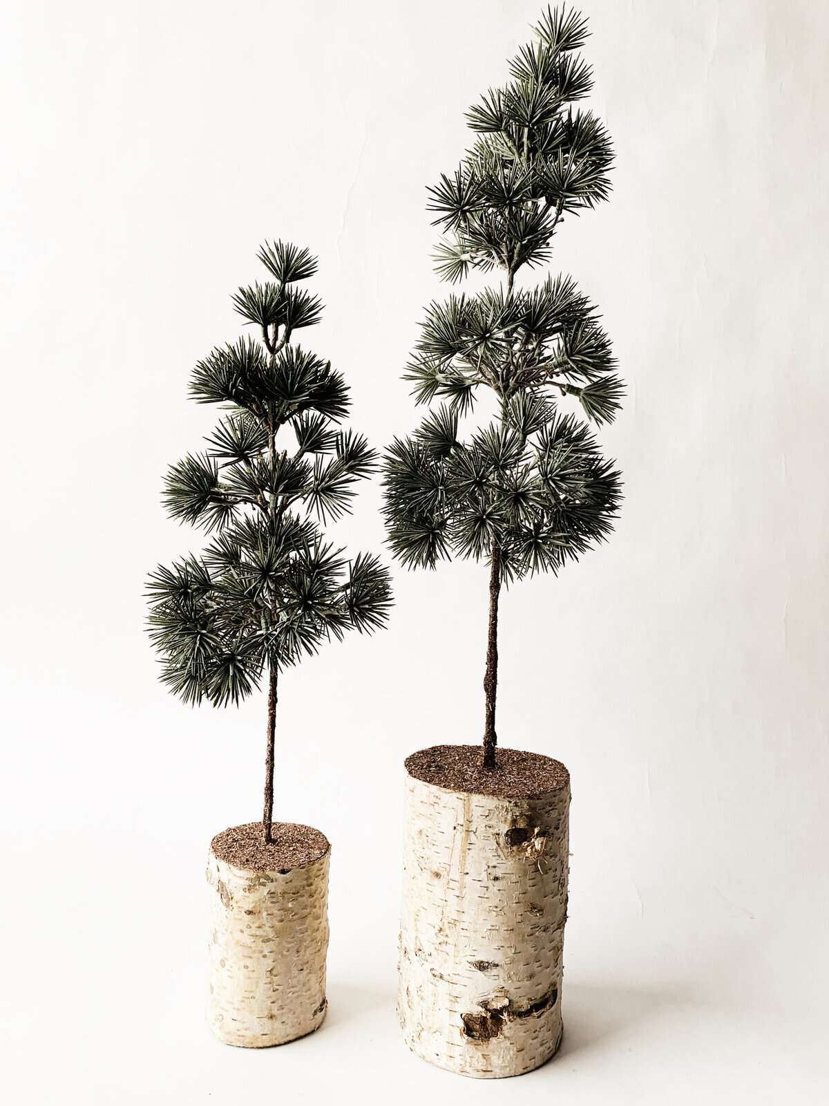 Bartre på fot 29 cm