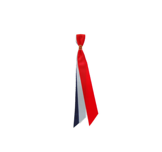 17. mai sløyfe 210 x 24mm Norge