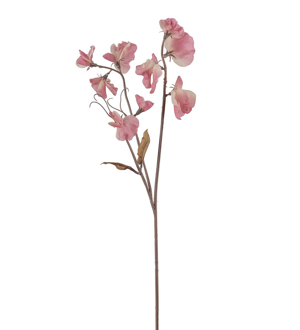 Mr. Plant Luktärt