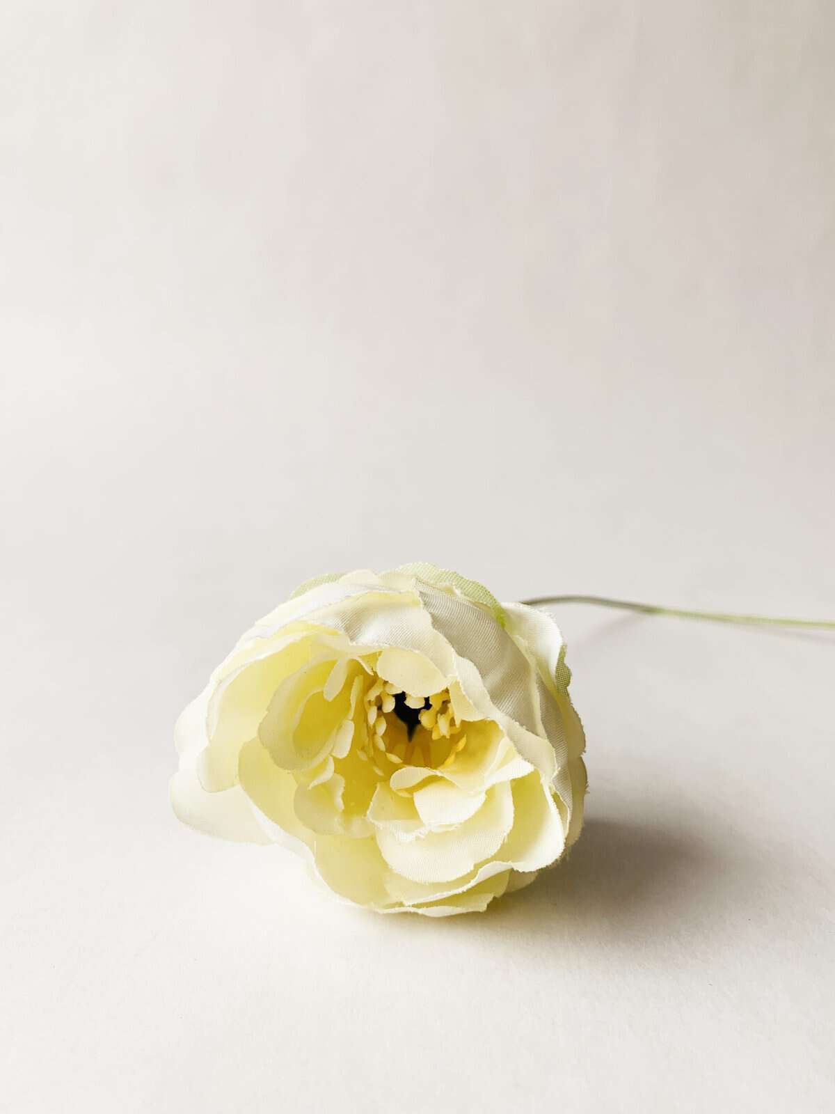 Trend Peon 50 cm creme