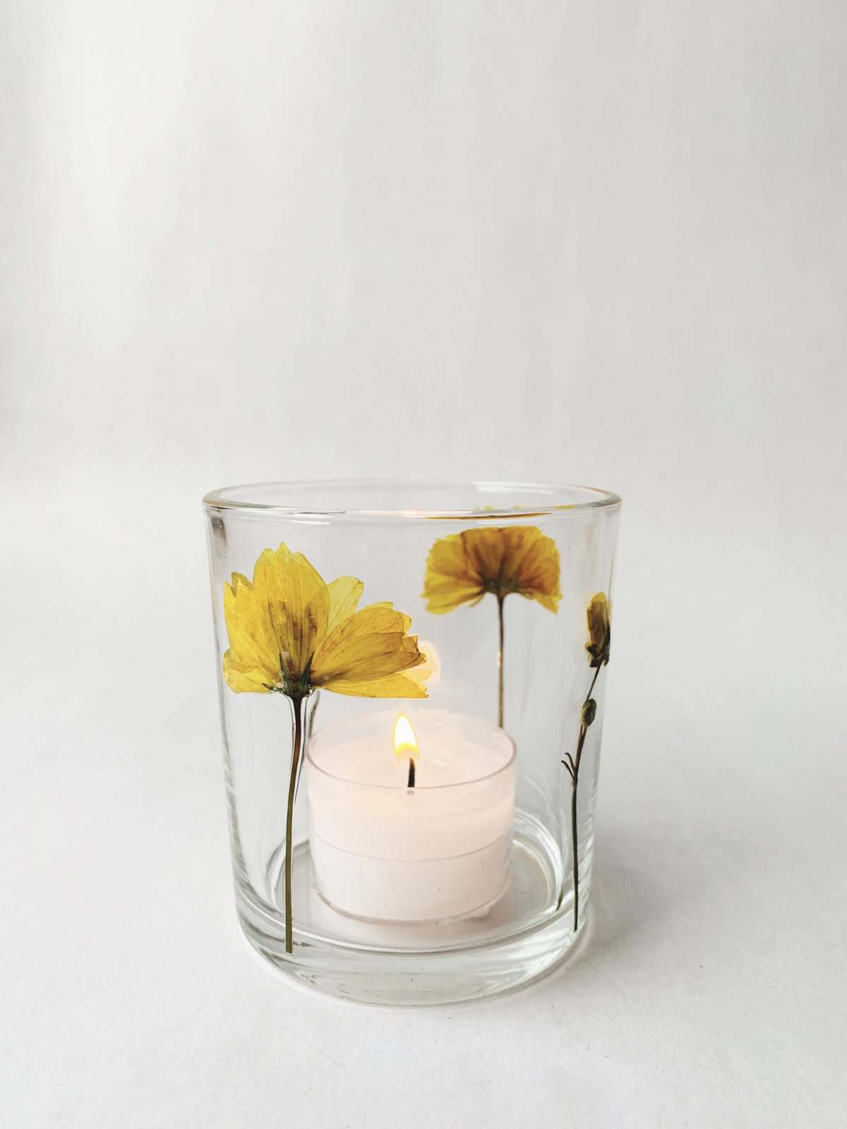 Trend Design Lysglass botanikk 7×8 cm gul