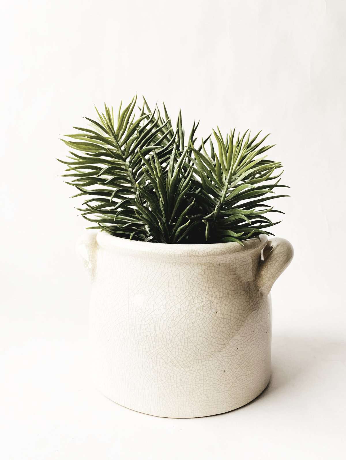 Trend Design Blomsterpotte krakelert 16x15x11 cm