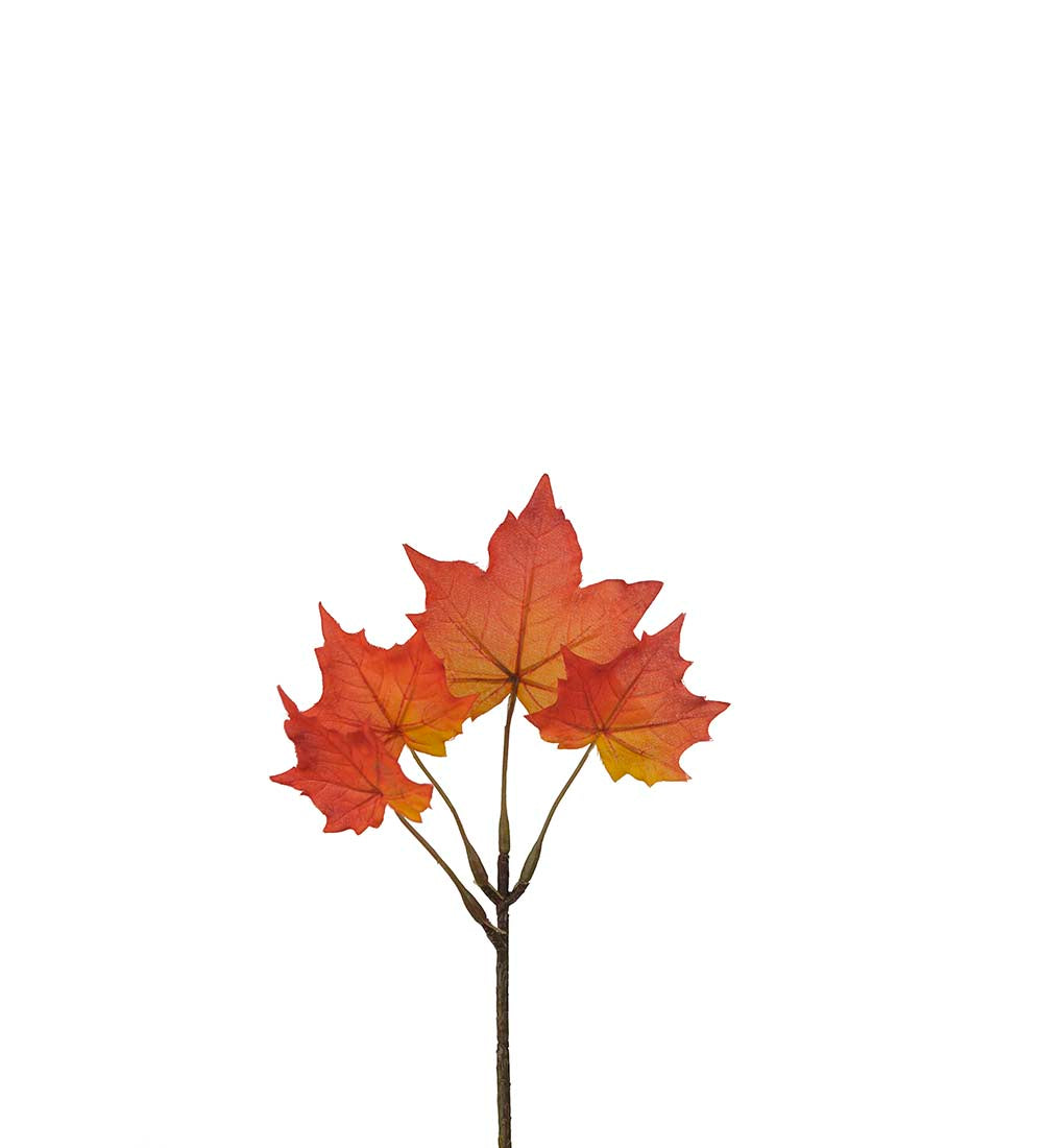 Mr. Plant Lønn 20 Cm