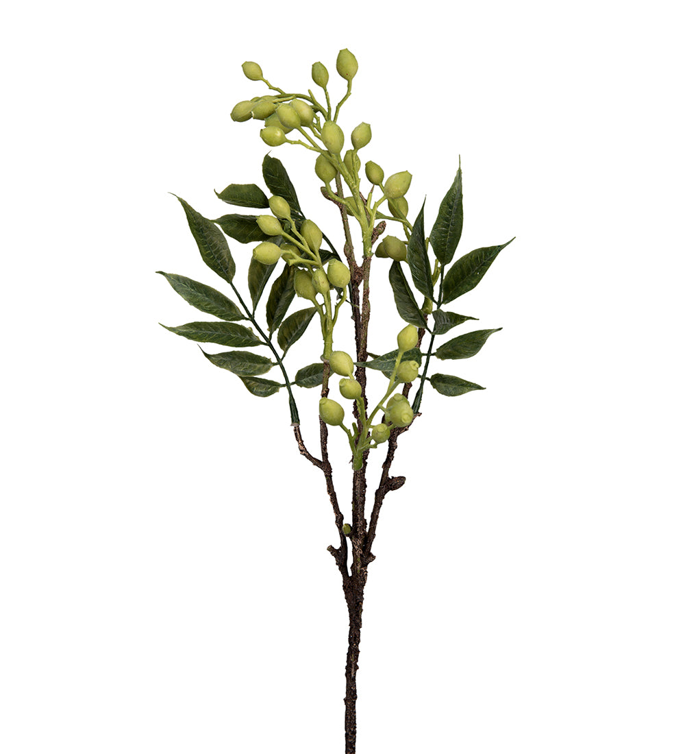 Mr. Plant Bærkvist 45 cm