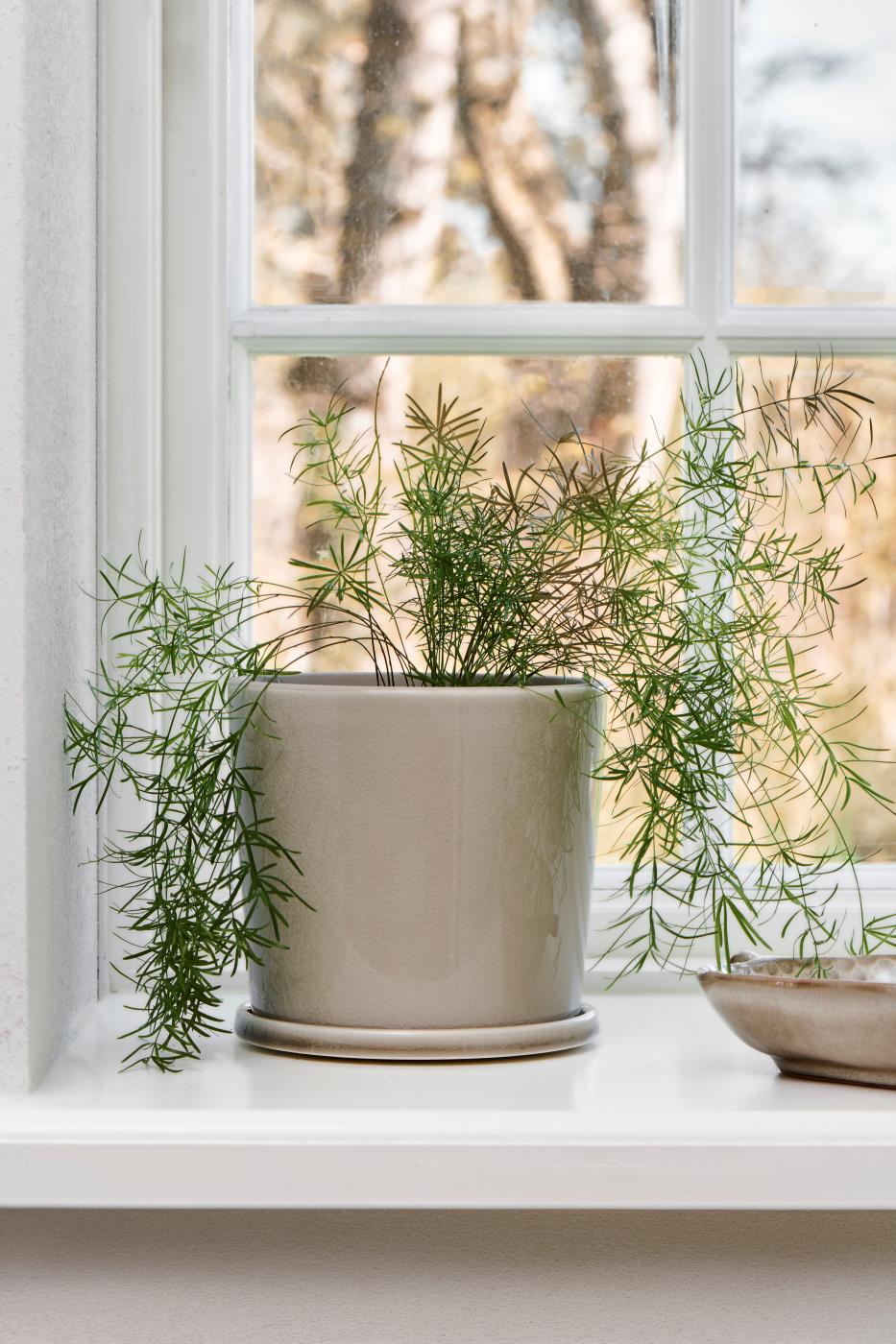 Ib Laursen Potte M/Underskål Krakeleret Glasur Saga beige