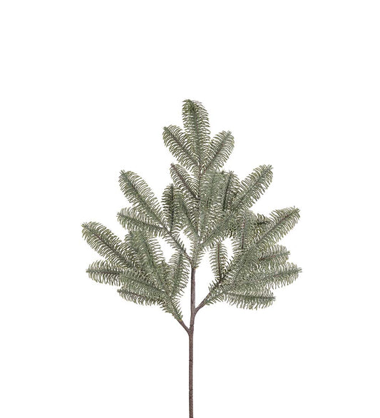 Mr Plant Grankvist 75 cm