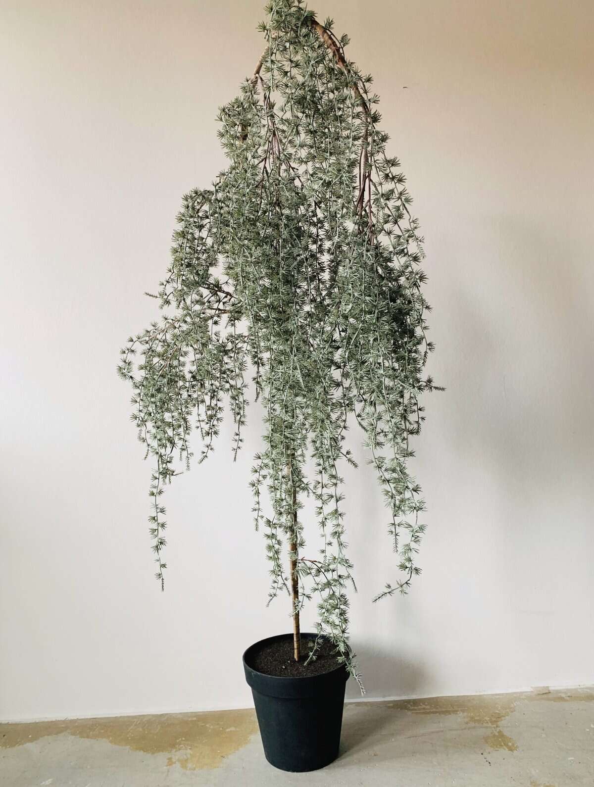 Trend Design Hengelerk 150 cm