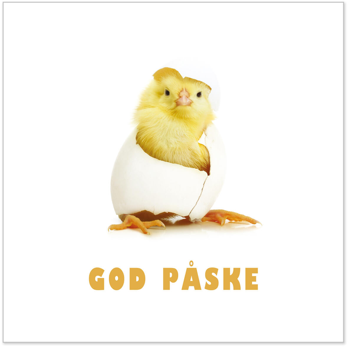 Serviett God Påske kylling i egg Lunsjserviett 20 stk 3-lags 33x33cm