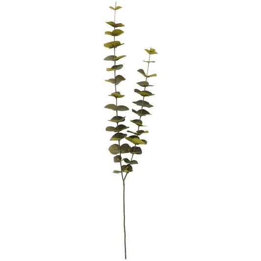 Ib Laursen Eucalyptus blomsterstilk