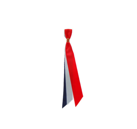17. mai sløyfe 210 x 24mm Norge