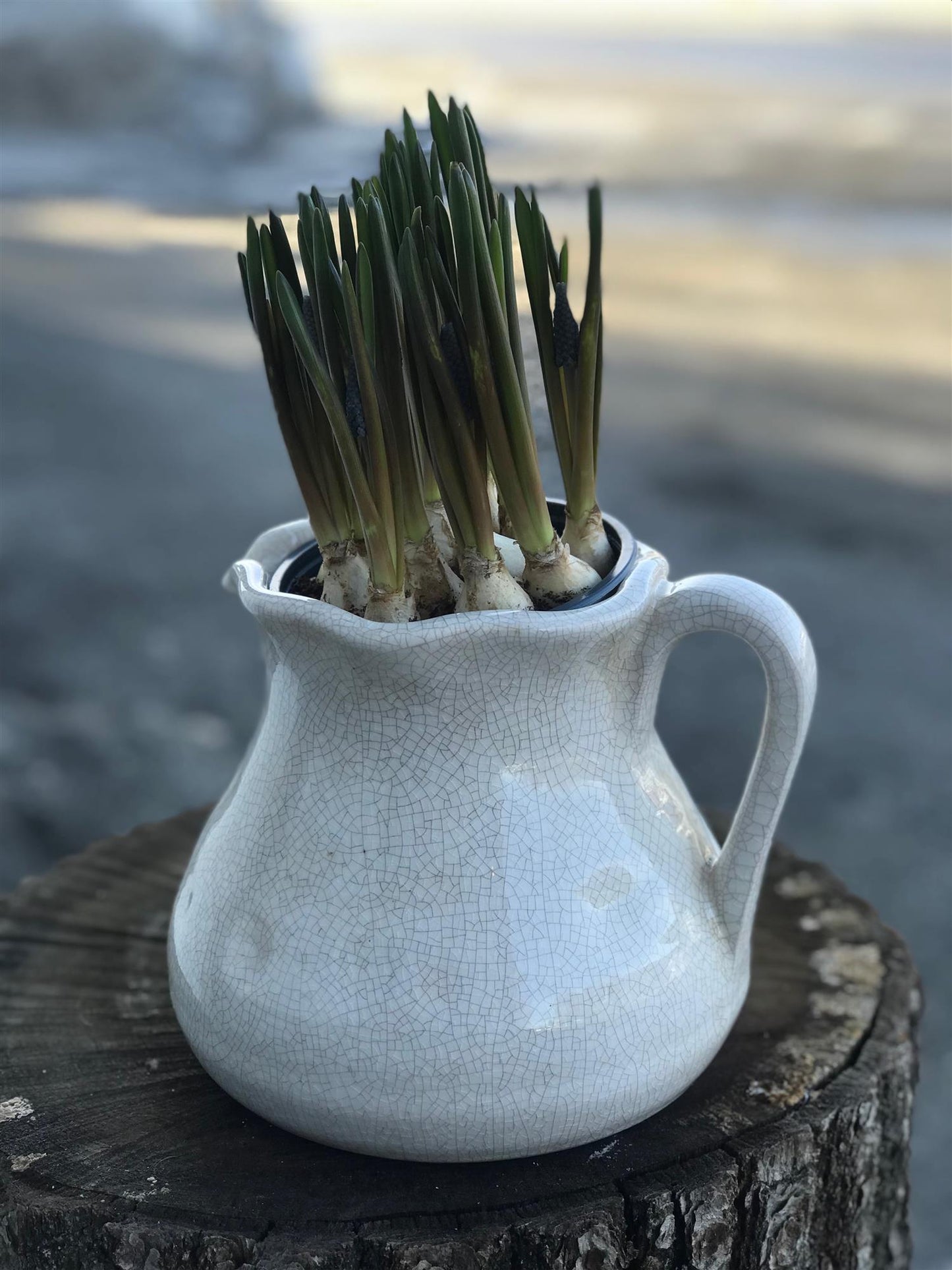 Trend Design Kanne Krakelert H:16 cm