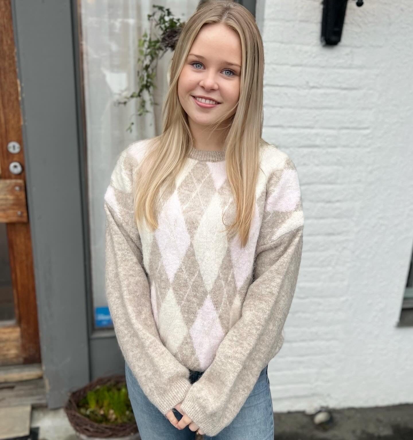 Sorbet SBargyle R Knit Blouse Barely There