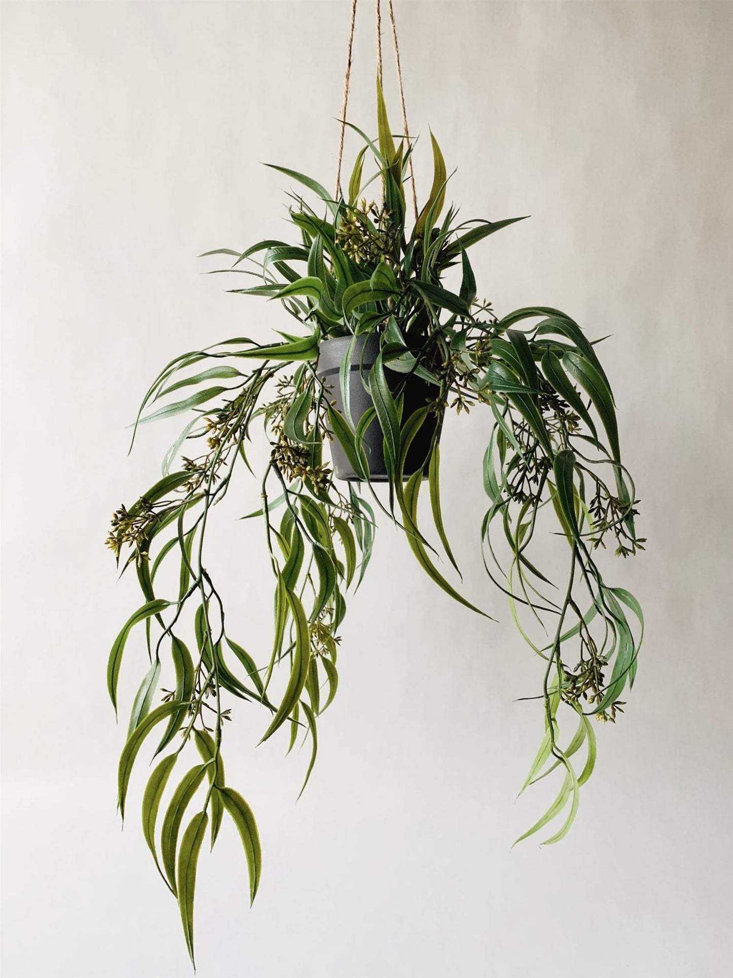 Trend Design Hengeplante eucalyptus h 64 cm