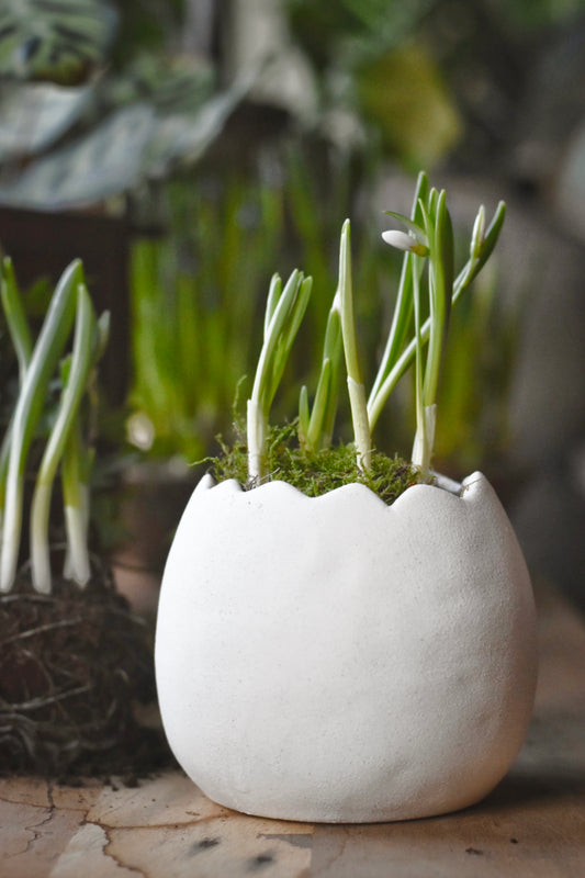 Trend Keramikkpotte Egg 11×13 Cm