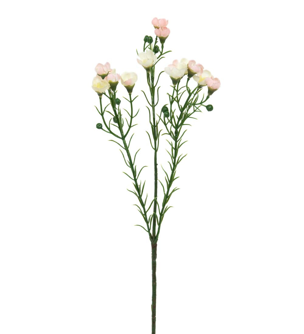 Mr. Plant Vaxblomma 40 cm