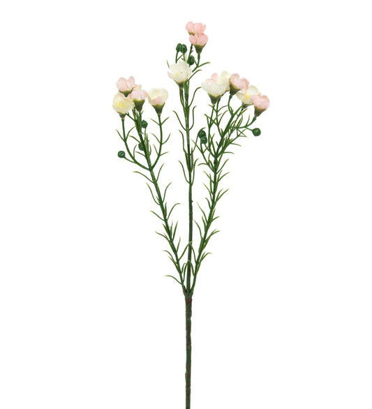 Mr. Plant Vaxblomma 40 cm