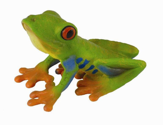 RØDØYET TREFROSK M Collecta