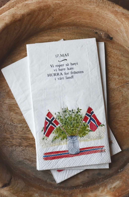Trend Design Serviett buffet "17. mai" Hurra Akvarell malt av Anita Sletten