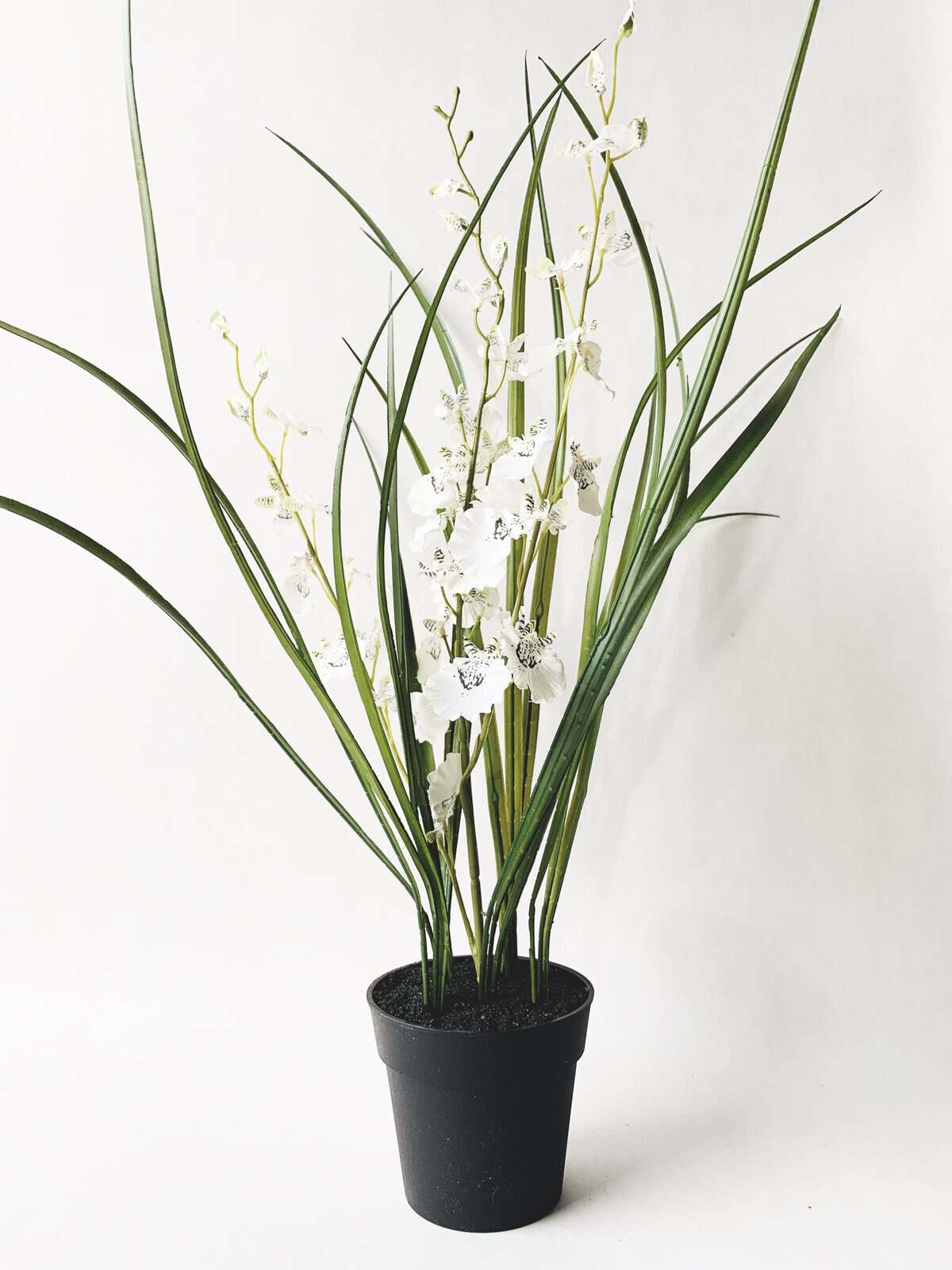 Trend Design Orkide i potte 56 cm