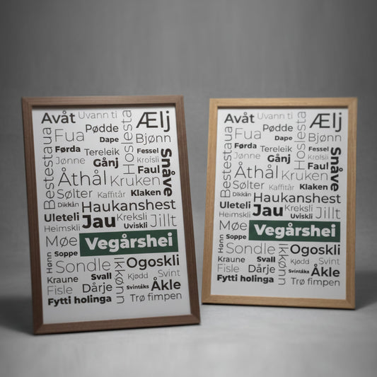 Bilde Dialektord fra Vegårshei 21x30 cm (Mørk Ramme)