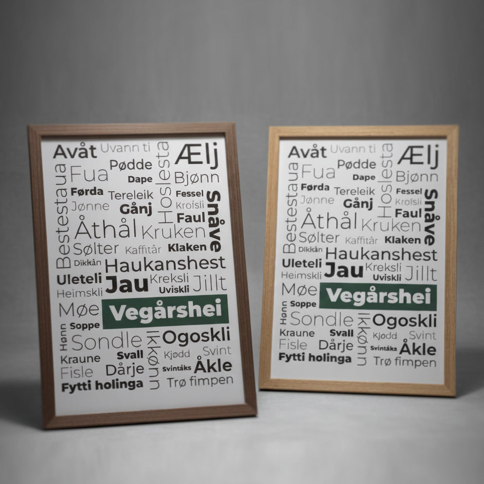 Bilde Dialektord fra Vegårshei 21x30 cm (Lys Ramme)