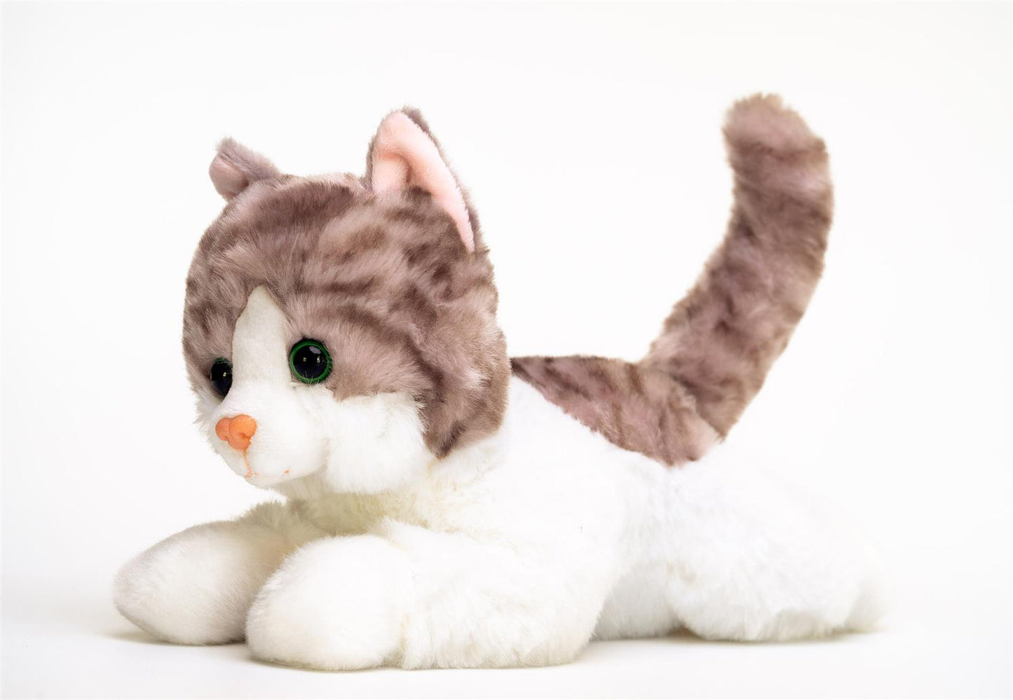 Plysj Katt