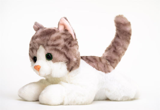 Plysj Katt