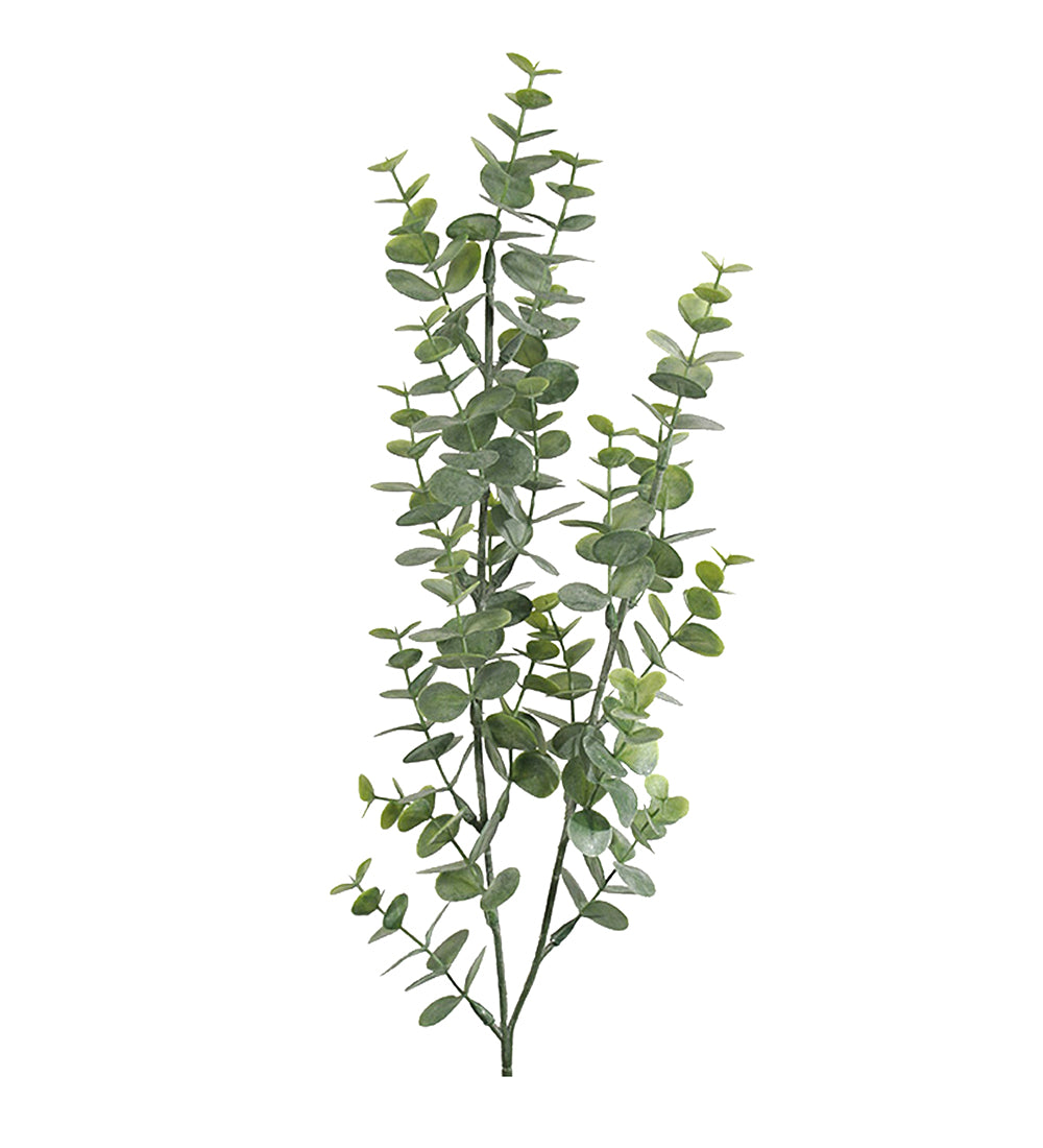 Mr. Plant Eucalyptus 74 cm