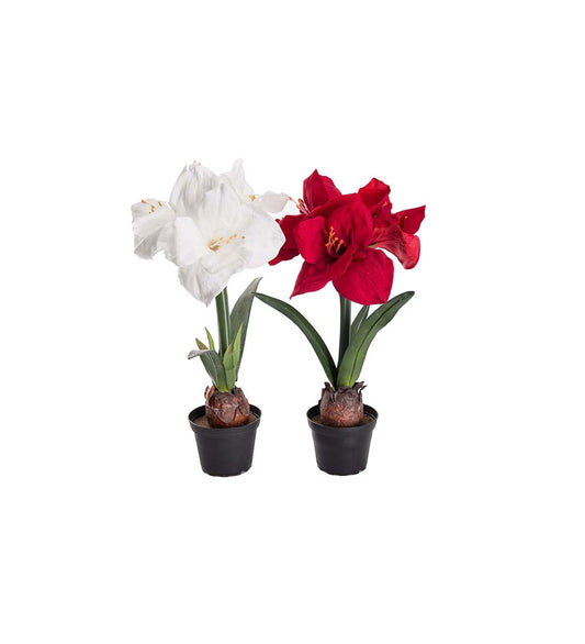 Amaryllis Rød 45 cm