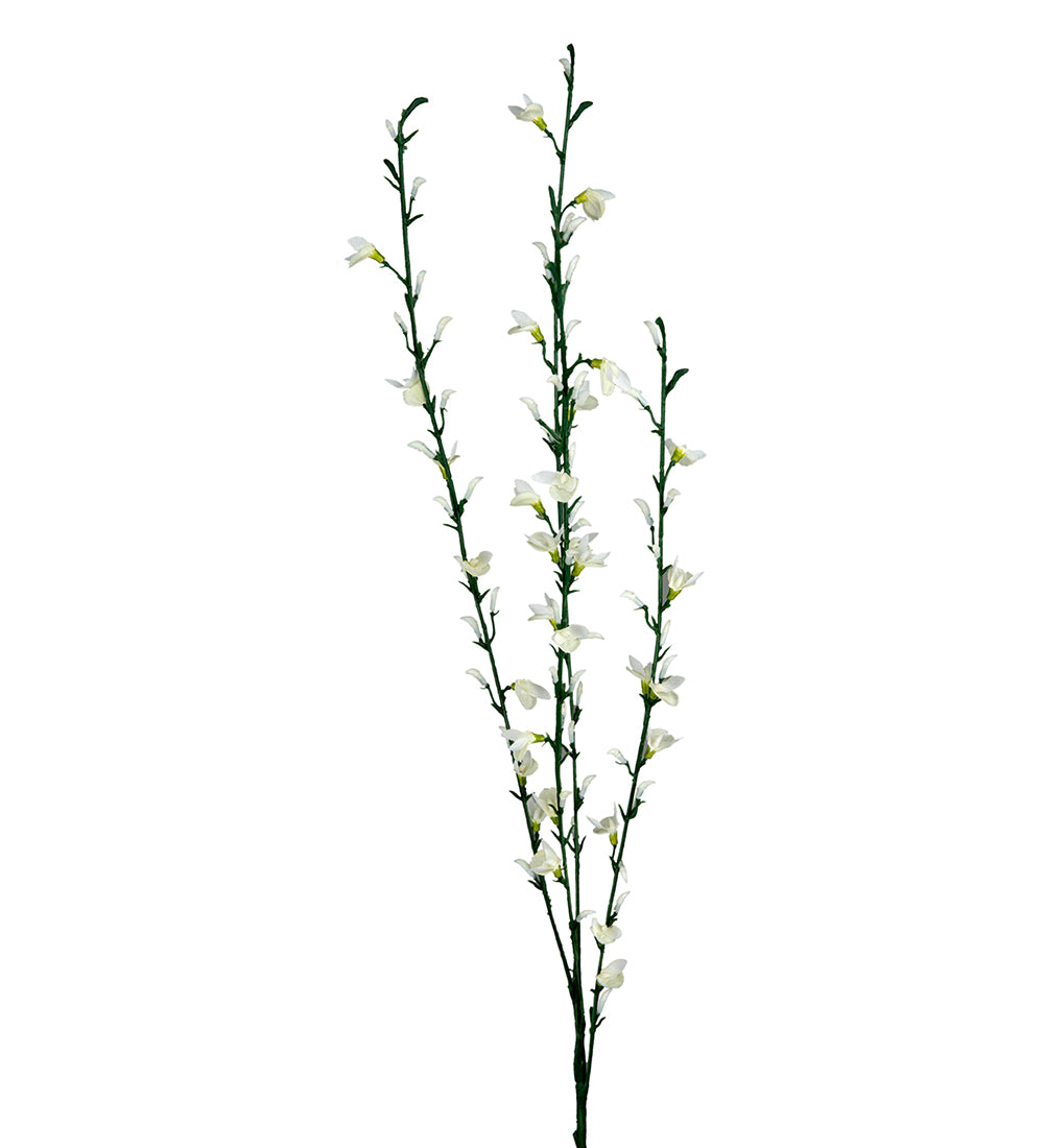 Mr. Plant Blomsterkvist M/Hvite Blomster