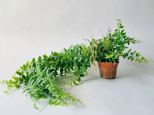 Trend Hengeplante H:58cm